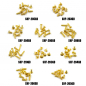 Preview: Yeah Racing Stainless Steel Gold Coated M2 Screw Assorted Set (100pcs) w/Mini Box