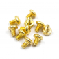 Preview: Yeah Racing Stainless Steel Gold Coated Hex Socket Button Head Machine Screw (M2x3mm) 10pcs