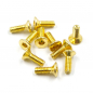 Preview: Yeah Racing Stainless Steel Gold Coated Hex Socket Flat Head Machine Screw (M2x6mm) 10pcs