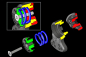 Preview: MST TCR-FF Onroad Car Kit