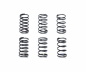 Preview: Tamiya On-road Tuned Touring Spring Set