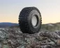 Preview: UpGrade RC Rock Claw A/T 1.9" Class 2 High Performance Rock Crawler Reifen (2) (Soft)