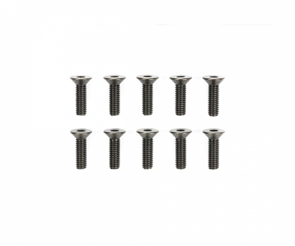 Tamiya 3x10mm Steel CS HexHead Screws (10)