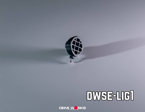 Demi Works Round Spotlight For 1/10